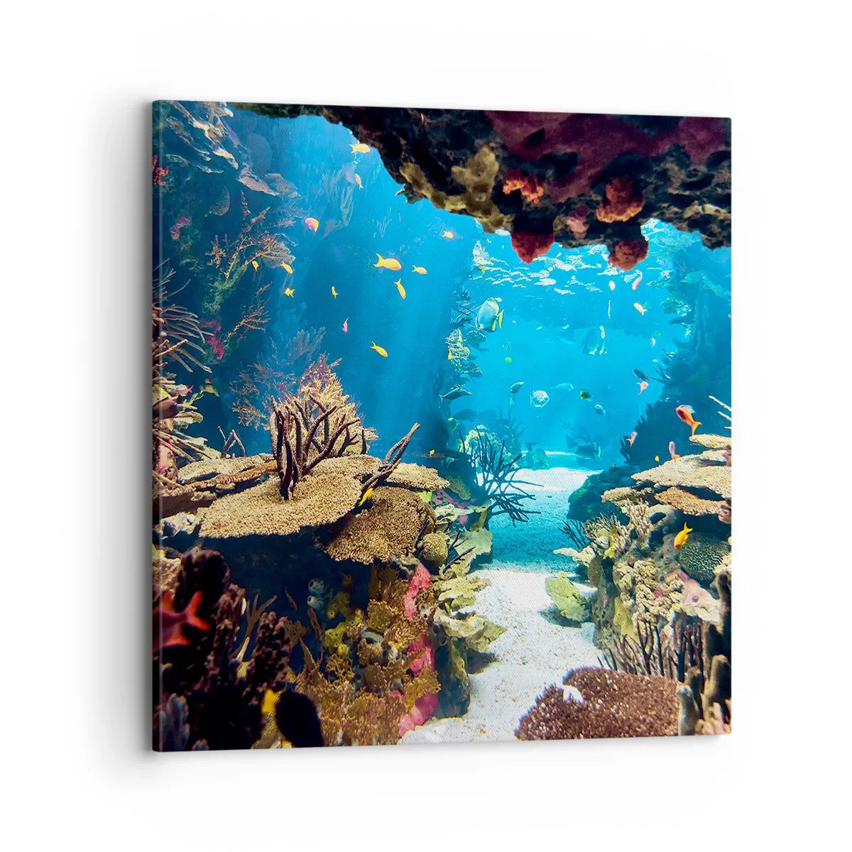 Obraz na plátně - Ani ve snu tě to nenapadlo - 70x70 cm