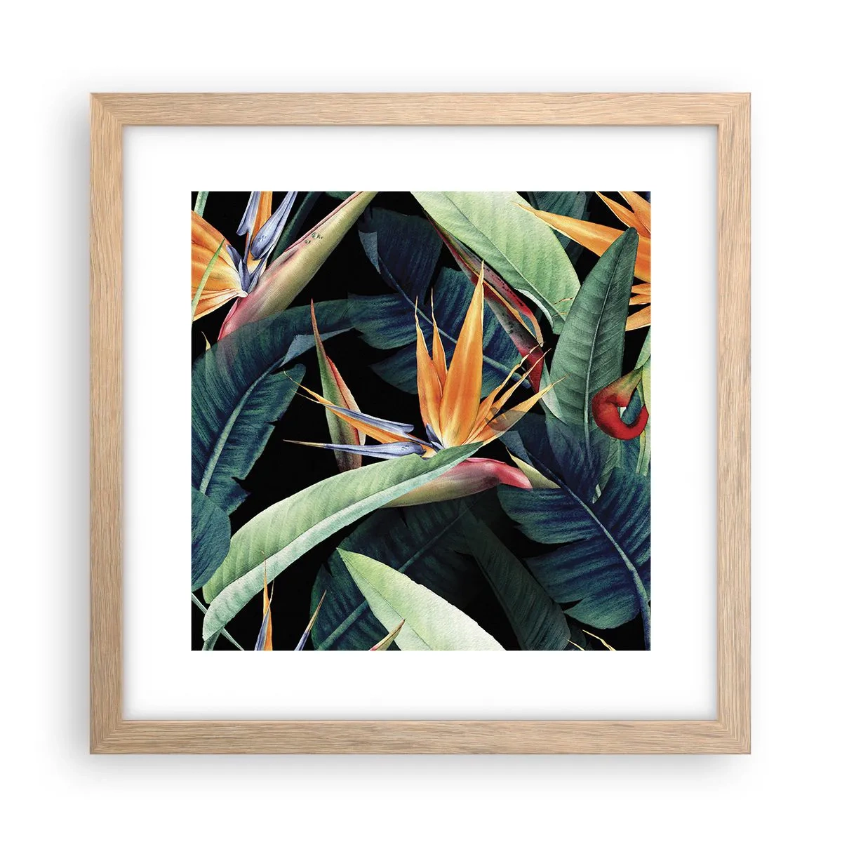 Plakát v rámu světlý dub - Plamenné květy tropů - 30x30 cm