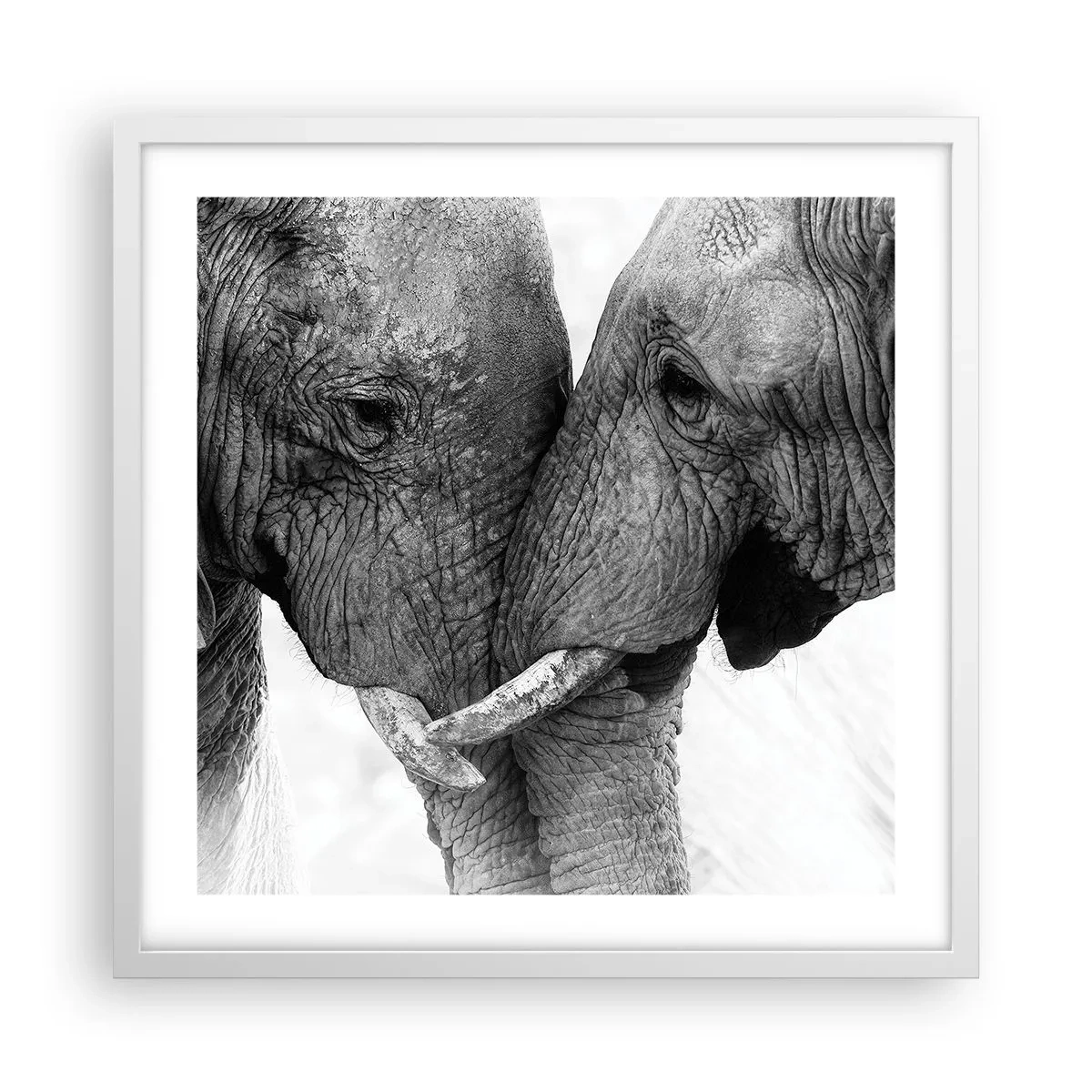 Plakát v bílém rámu - Upřímné vyznání - 50x50 cm