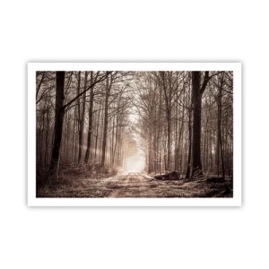 Plakát - Lesní katedrála - 91x61 cm