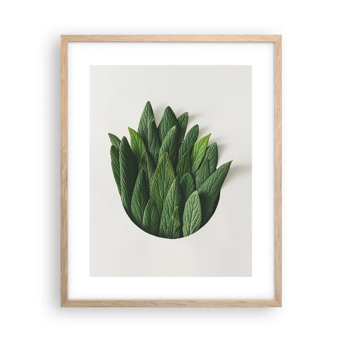 Plakát v rámu světlý dub - Neukojitelná zvědavost - 40x50 cm