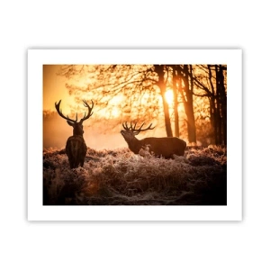 Plakát - Sen myslivce - 50x40 cm