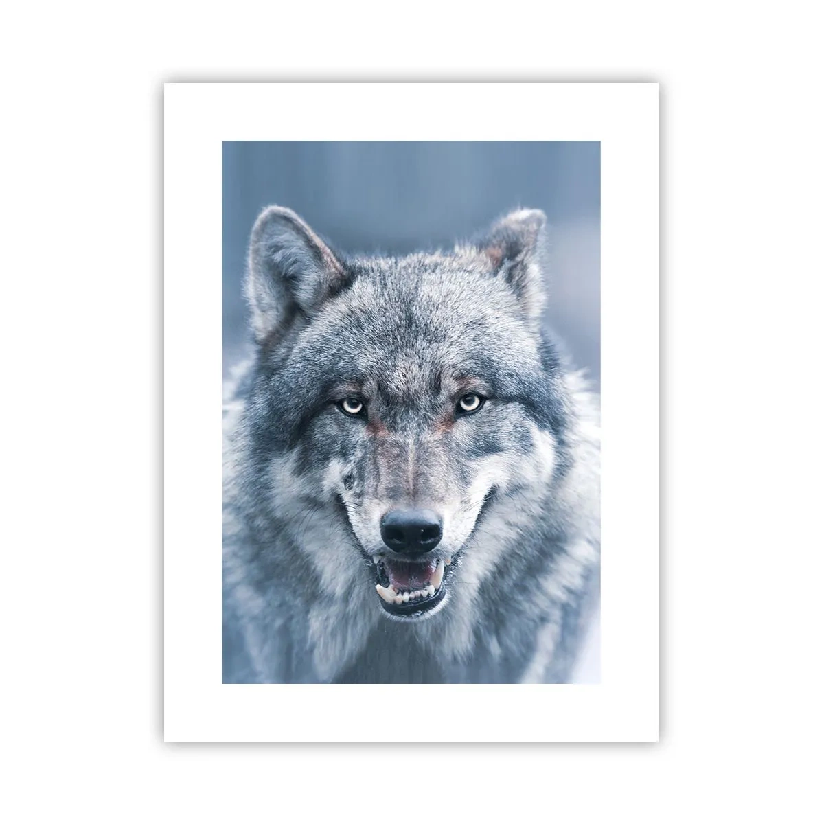 Plakát - Přijmete tuto výzvu? - 30x40 cm