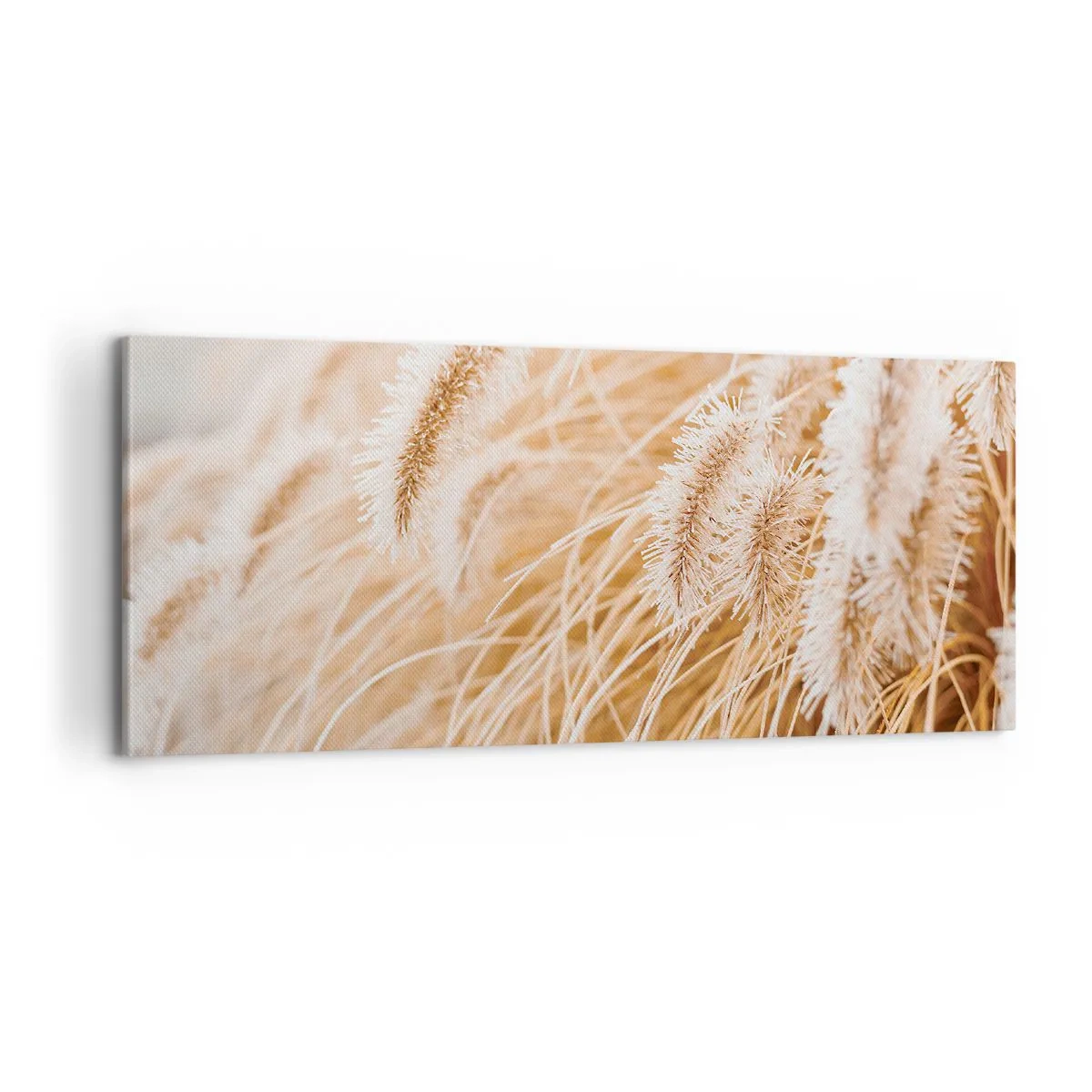 Obraz na plátně - Zlaté šustění travin - 100x40 cm