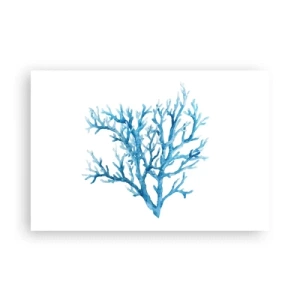 Plakát - Mořský filigrán - 91x61 cm