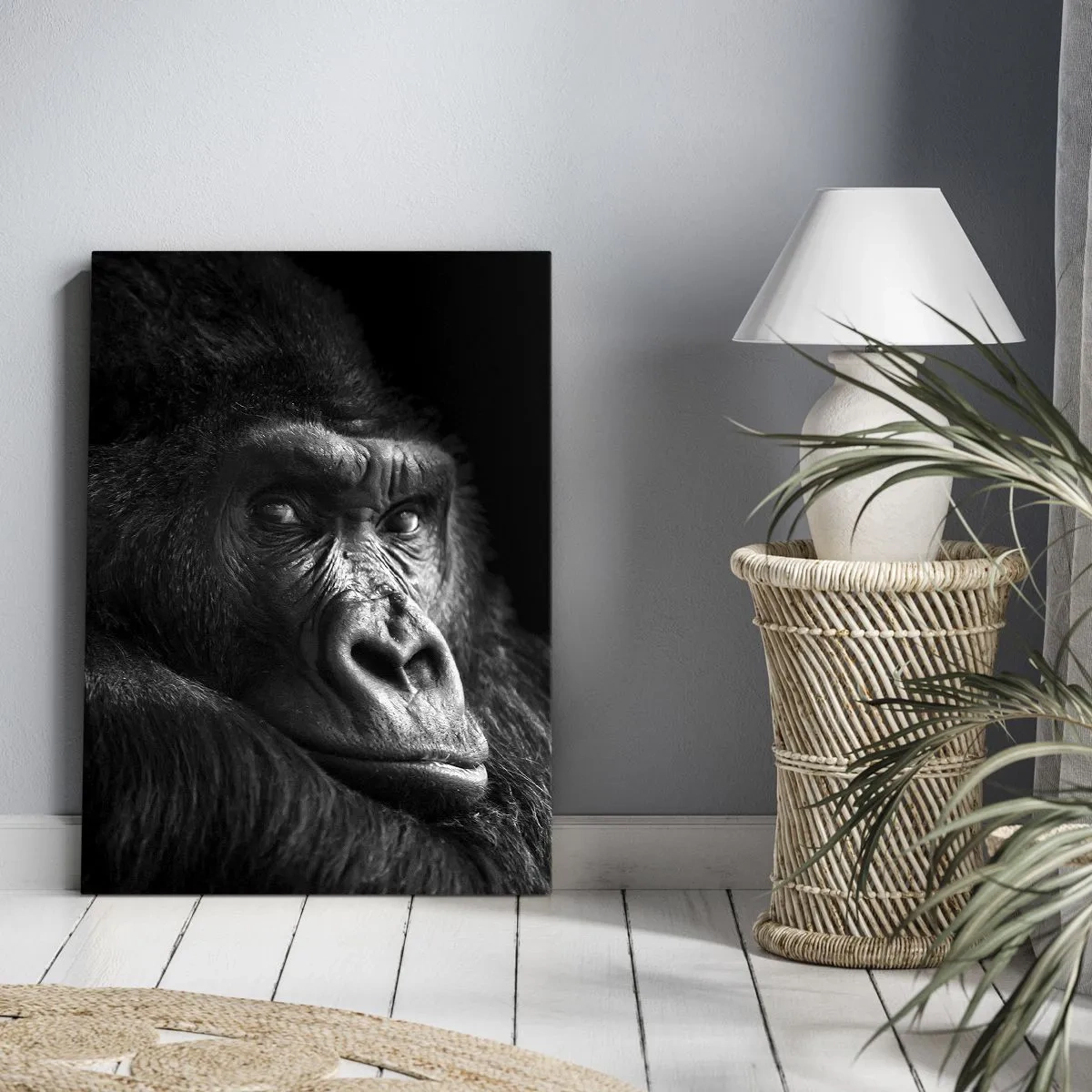 Obraz na plátně - Na co tak koukáš? - 50x70 cm