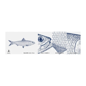 Vzor Fototapety Samolepicí Deluxe Sticker - Pozdravy ze severních moří - Ryba, Mořské zvíře, Přímořský styl - 100x30 cm