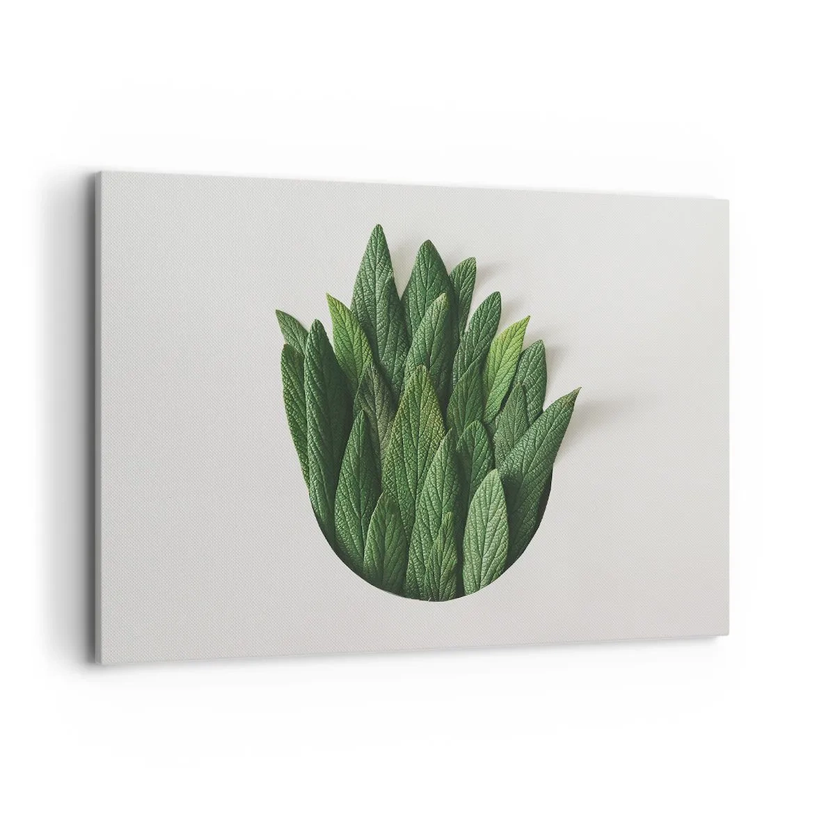 Obraz na plátně - Neukojitelná zvědavost - 120x80 cm