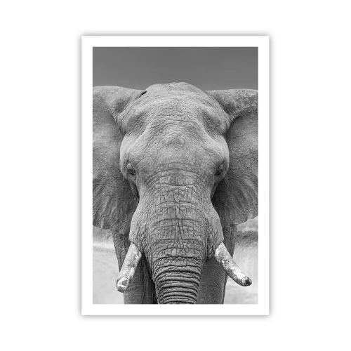 Plakát - Vítejte v mém světě - 61x91 cm