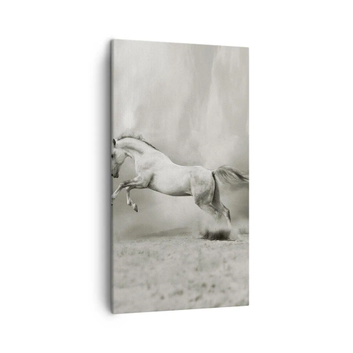 Obraz na plátně - Mezi bděním a snem - 45x80 cm