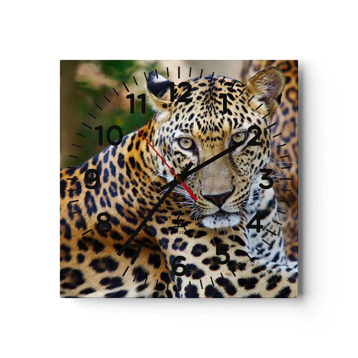 Nástěnné hodiny - Divoký a klidný - 40x40 cm