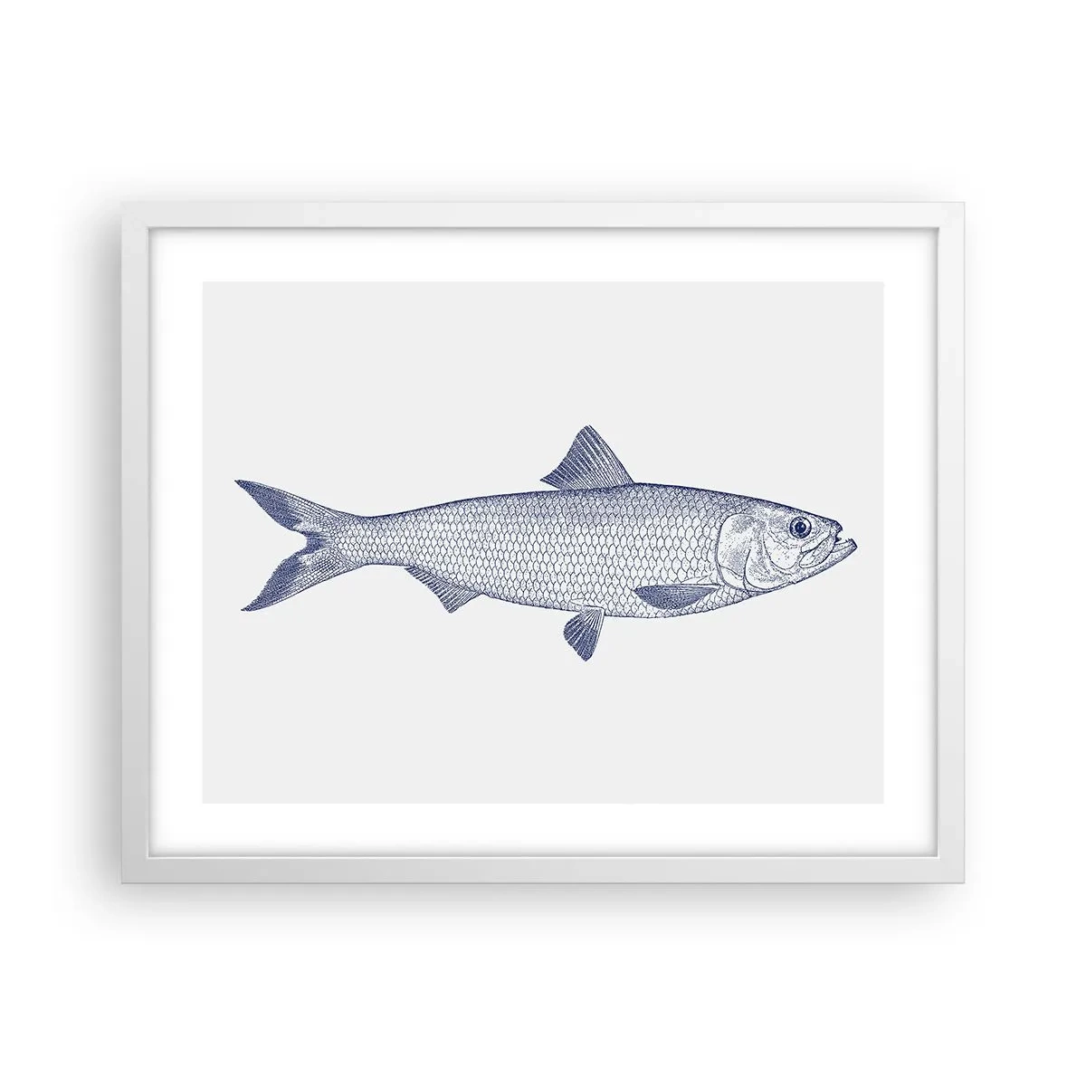 Plakát v bílém rámu - Pozdravy ze severních moří - 50x40 cm