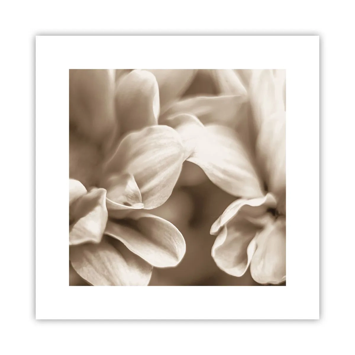 Plakát - Něžné jako úsměv - 30x30 cm