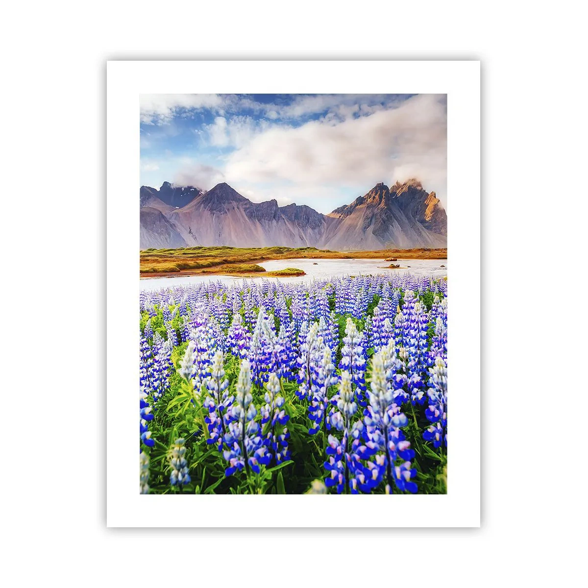 Plakát - Síla a přísnost vedle mírnosti - 40x50 cm