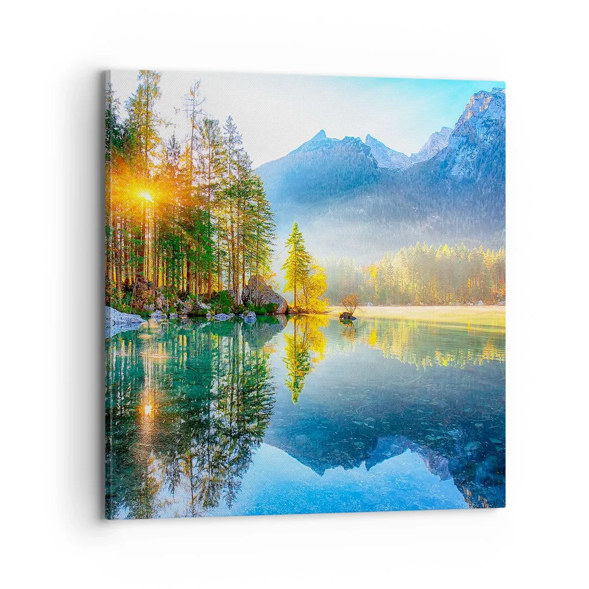 Obraz na plátně - Majestát a sladkost - 70x70 cm