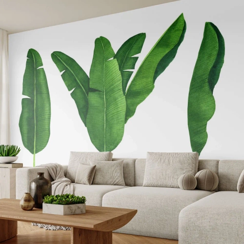 Fototapeta Premium Canvas - Zelená symetrie - Banánový list, Tropický, Botanický styl - 400x280 cm