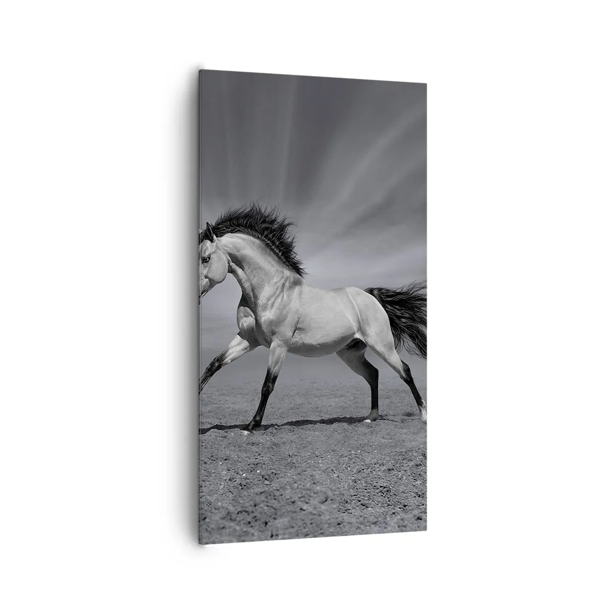 Obraz na plátně - Zrozen pro potěšení - 65x120 cm