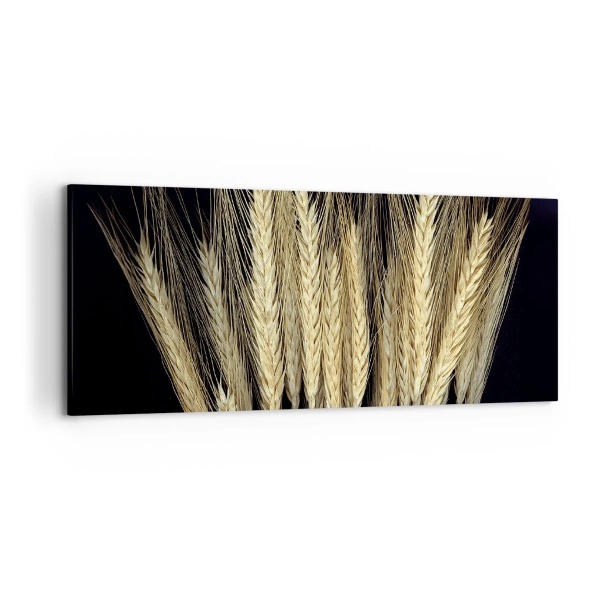 Obraz na plátně - Rustikální magie - 120x50 cm