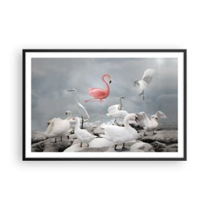 Plakát v černém rámu - Kde jsem se tu vzal? - 91x61 cm