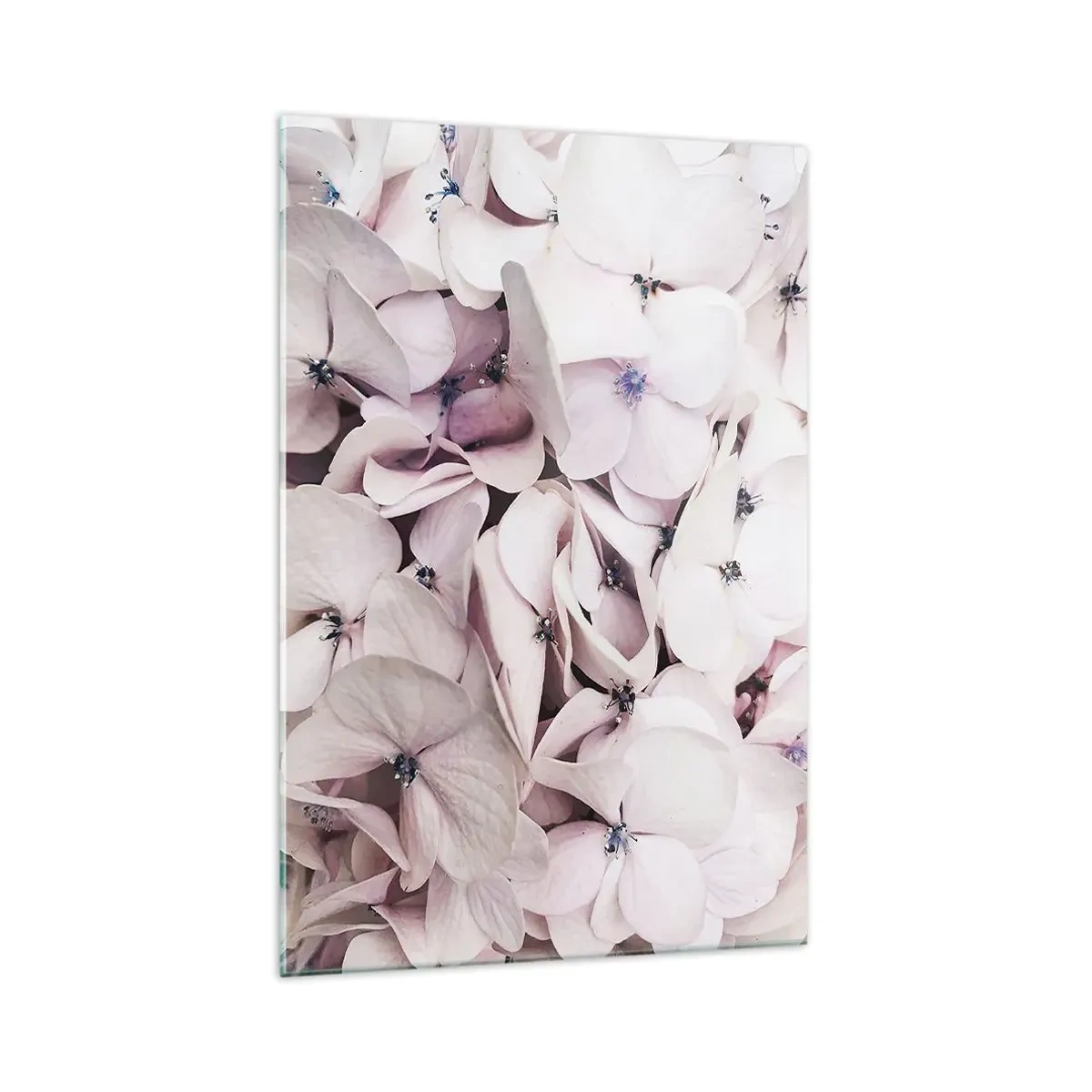 Obraz na skle - V záplavě květin - 70x100 cm