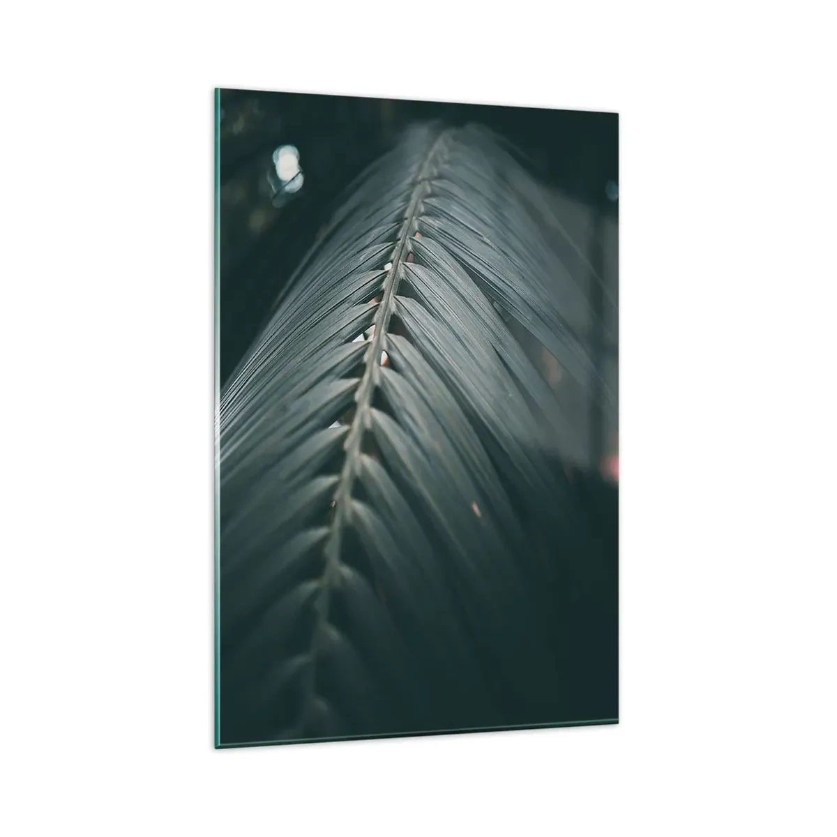 Obraz na skle - Přesnost přírody - 80x120 cm