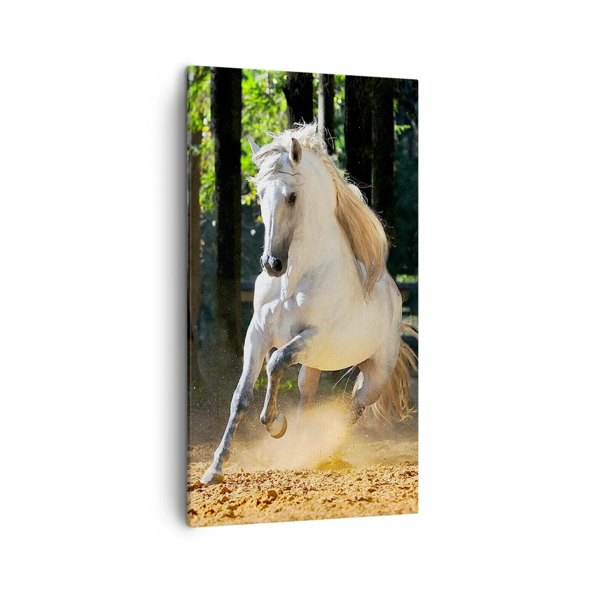 Obraz na plátně - Jako z fantasy románu - 45x80 cm