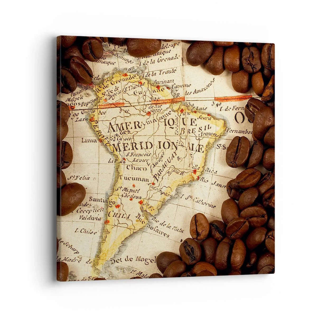 Obraz na plátně - Odkud je nejlepší káva? - 40x40 cm