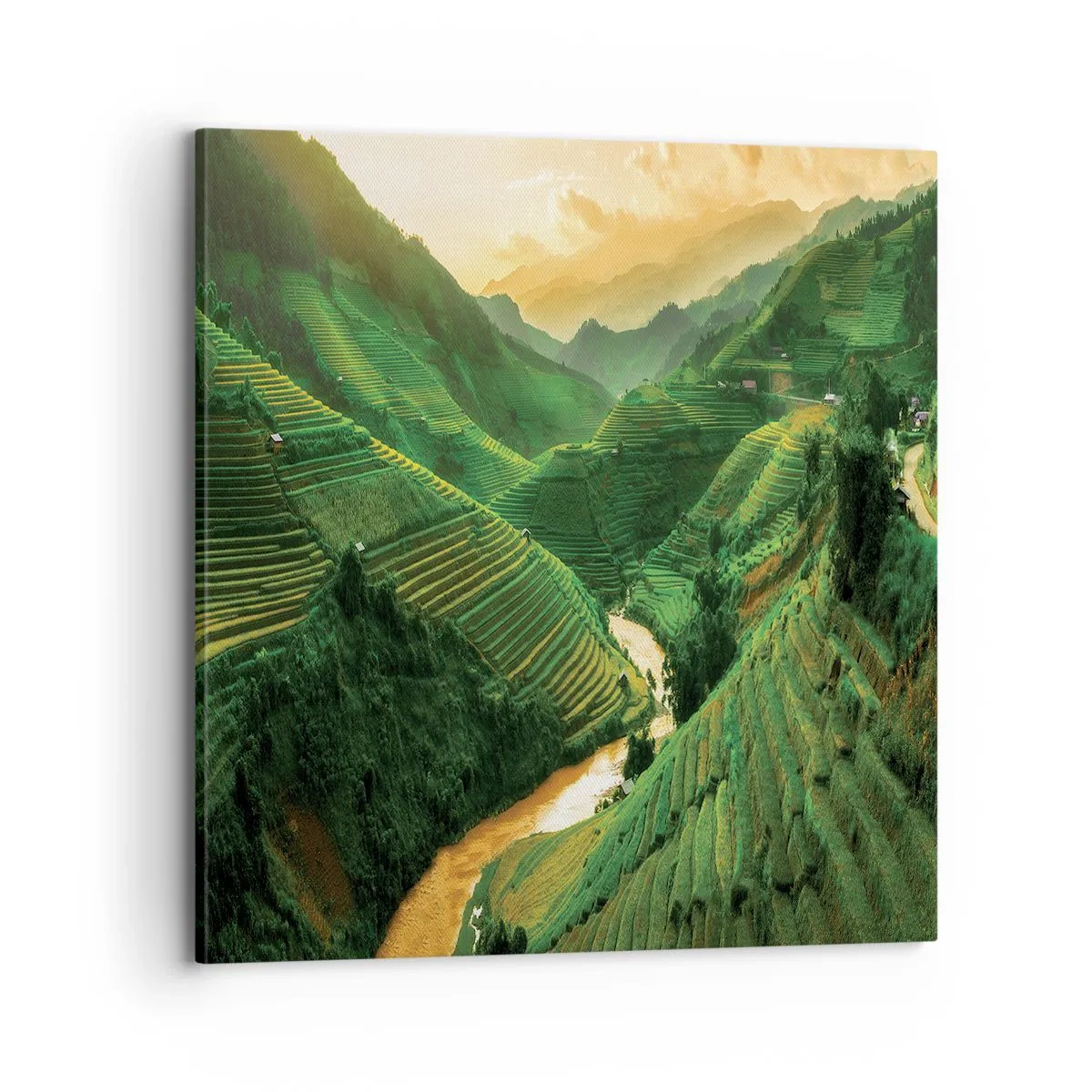 Obraz na plátně - Vietnamské údolí - 70x70 cm