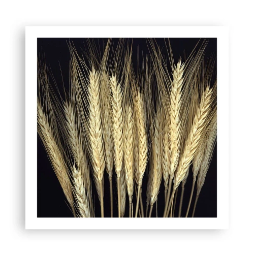 Plakát - Rustikální magie - 60x60 cm