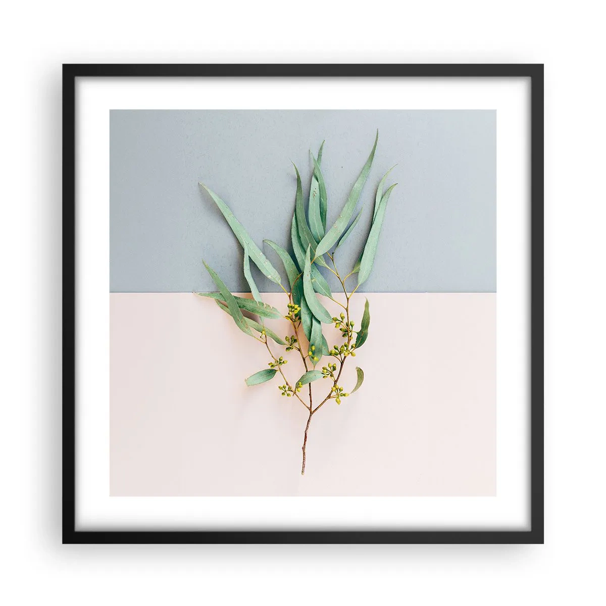 Plakát v černém rámu - Pastelová jemnost - 50x50 cm