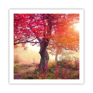 Plakát - Šílenství rozkvětu - 60x60 cm