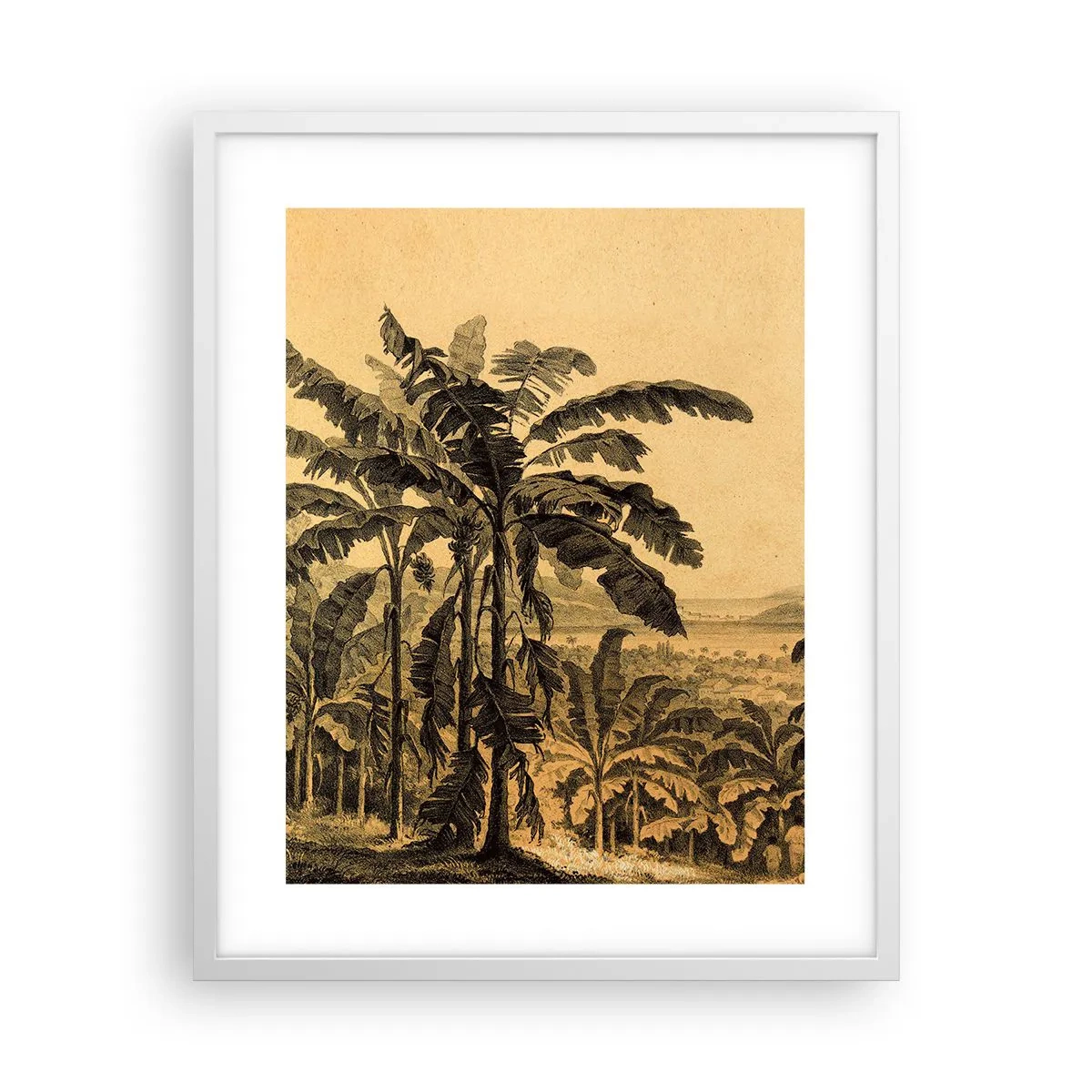 Plakát v bílém rámu - V koloniálním stylu - 40x50 cm