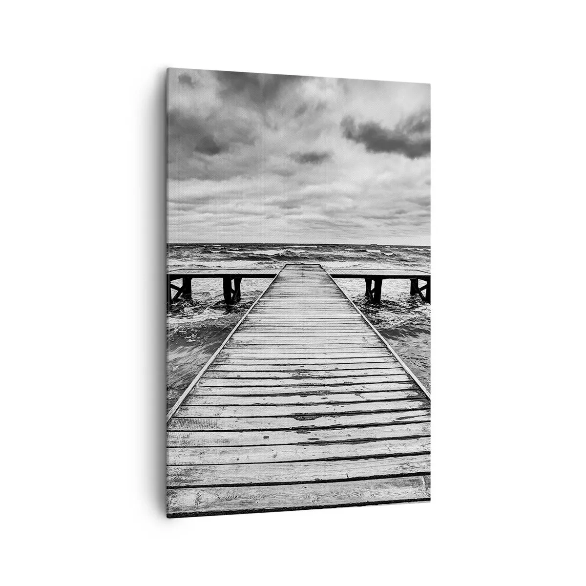 Obraz na plátně - Čekám na vítr, co rozfouká… - 80x120 cm