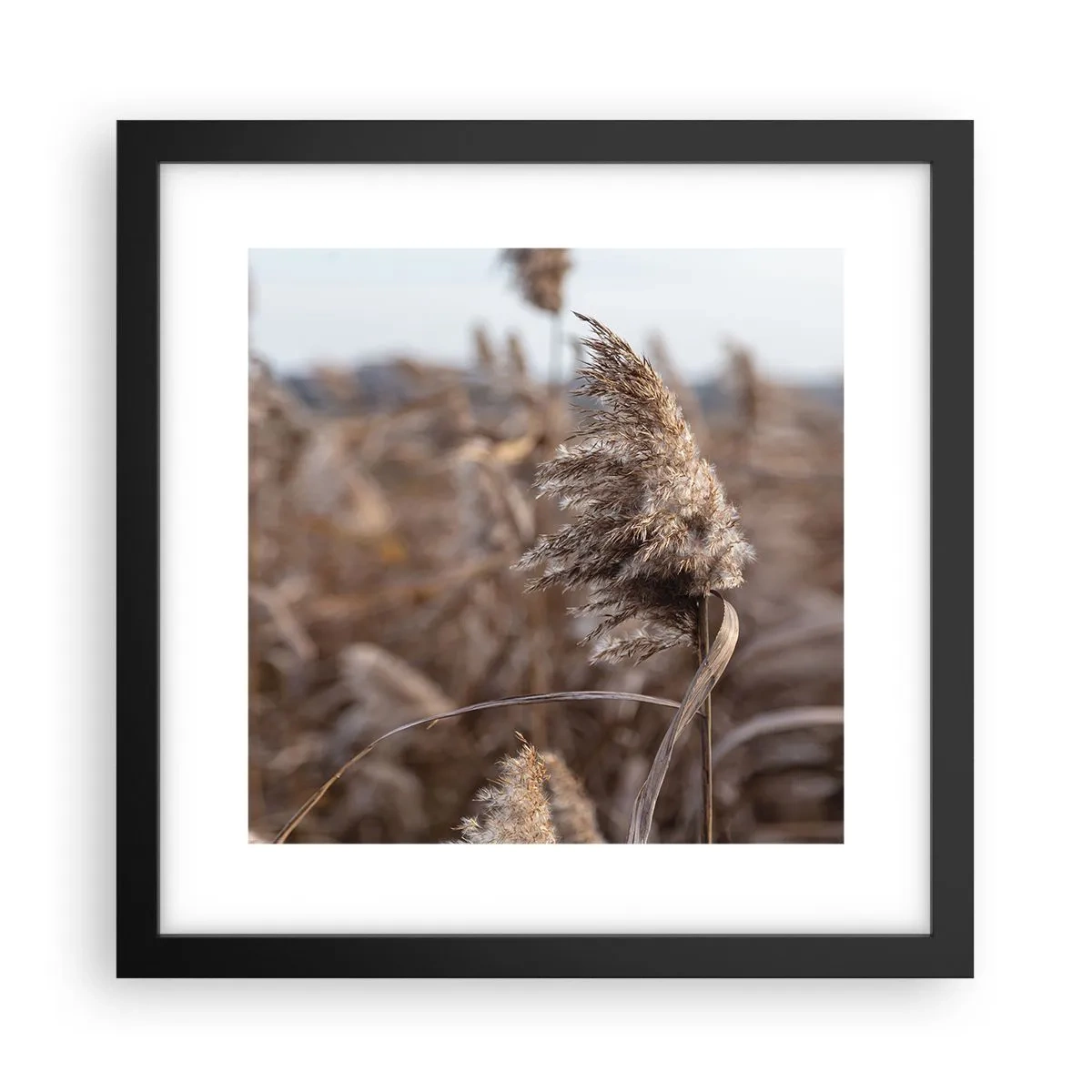 Plakát v černém rámu - Čas odletět s větrem - 30x30 cm