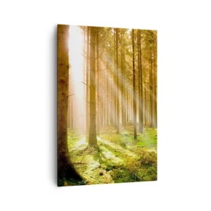 Obraz na plátně - Brzy se objeví elfové - 70x100 cm