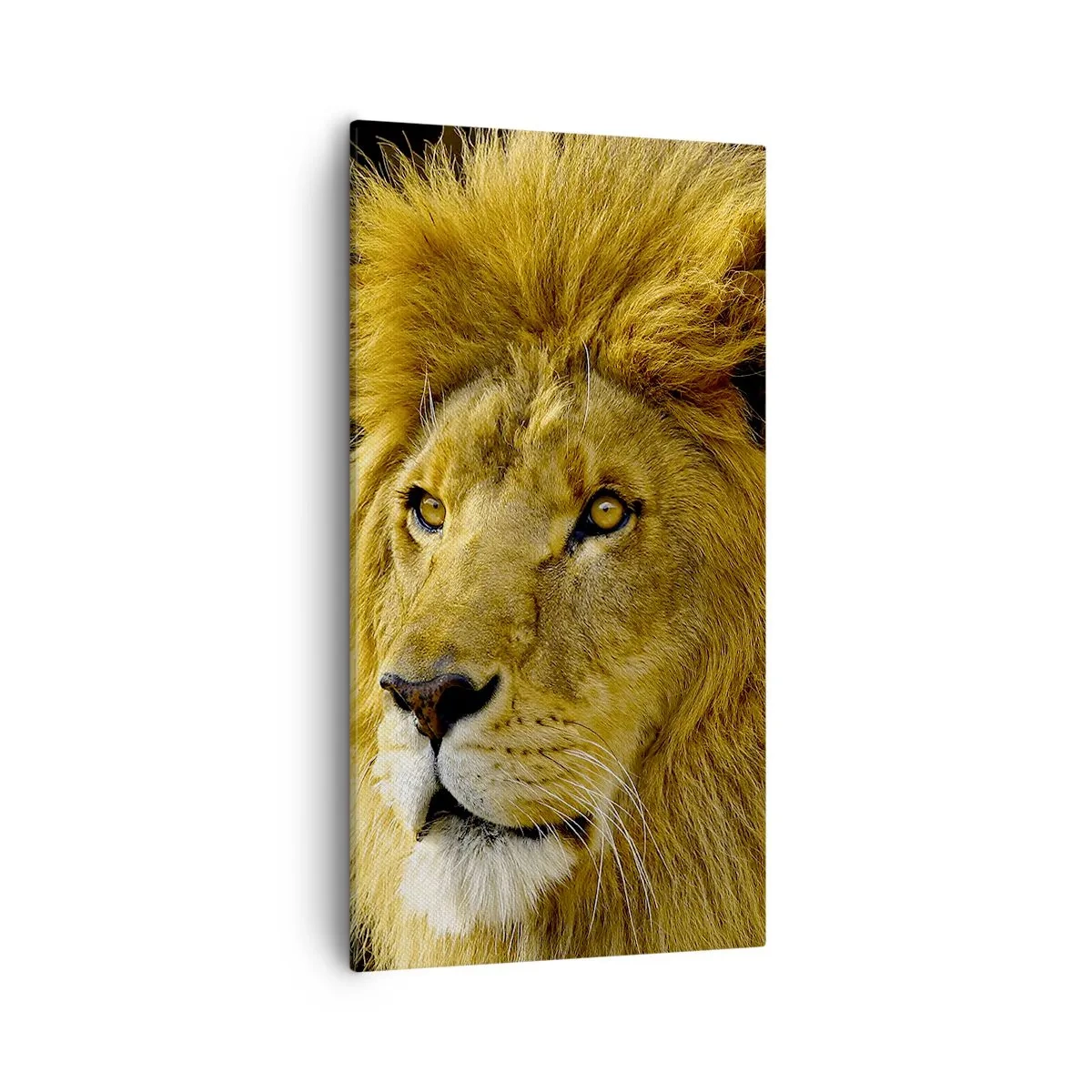 Obraz na plátně - Portrét krále - 55x100 cm