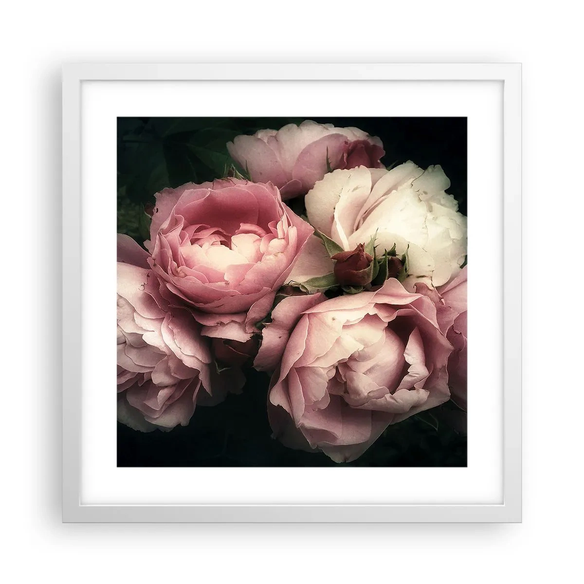 Plakát v bílém rámu - Kouzlo belle epoque - 40x40 cm