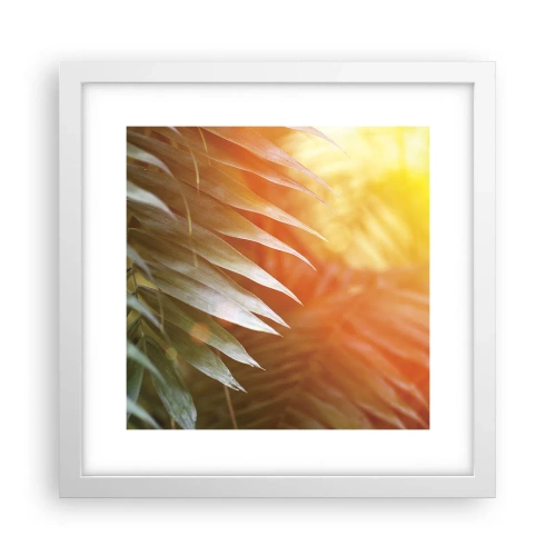 Plakát v bílém rámu - Ráno v džungli - 30x30 cm