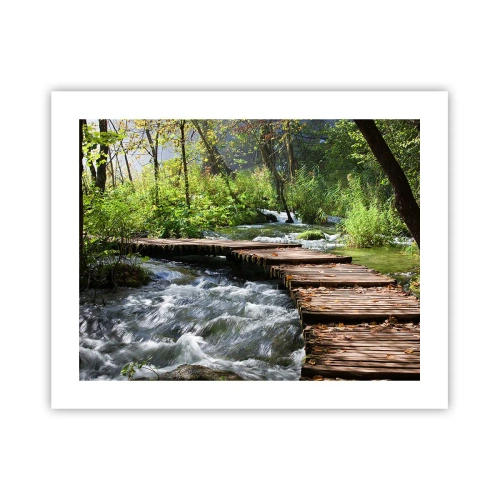 Plakát - U zpěněného vodopádu - 50x40 cm