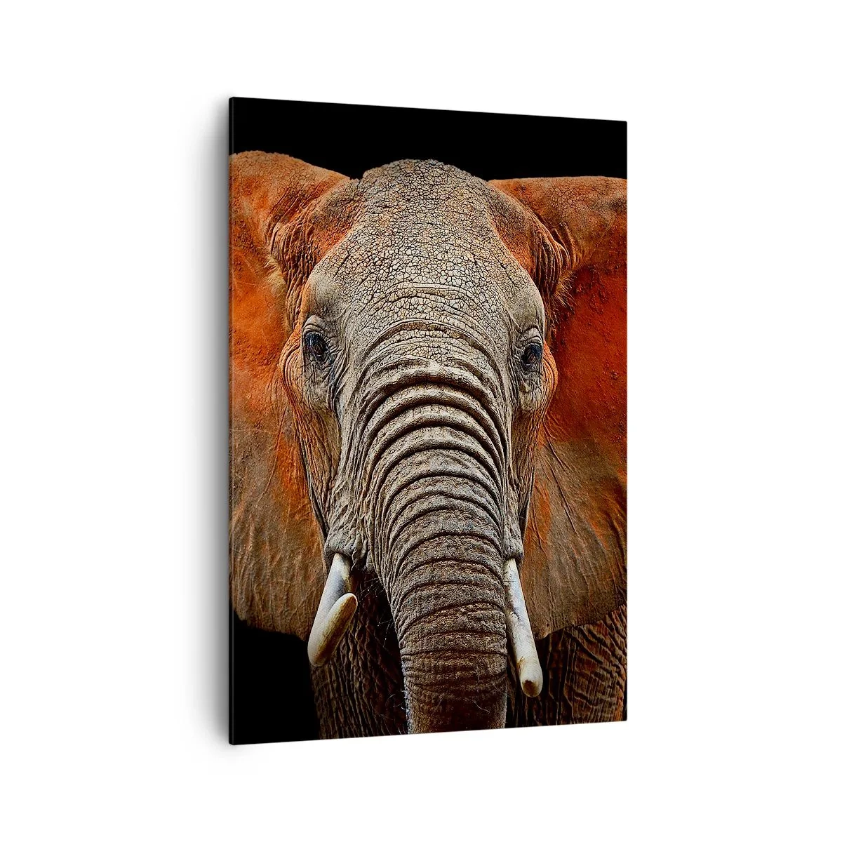 Obraz na plátně - Jsem divoký, a ty? - 70x100 cm