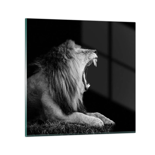 Obraz na skle - Bez nejmenších pochyb - 70x70 cm