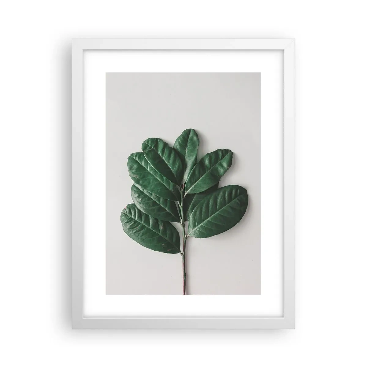 Plakát v bílém rámu - Kresba samotné přírody - 30x40 cm