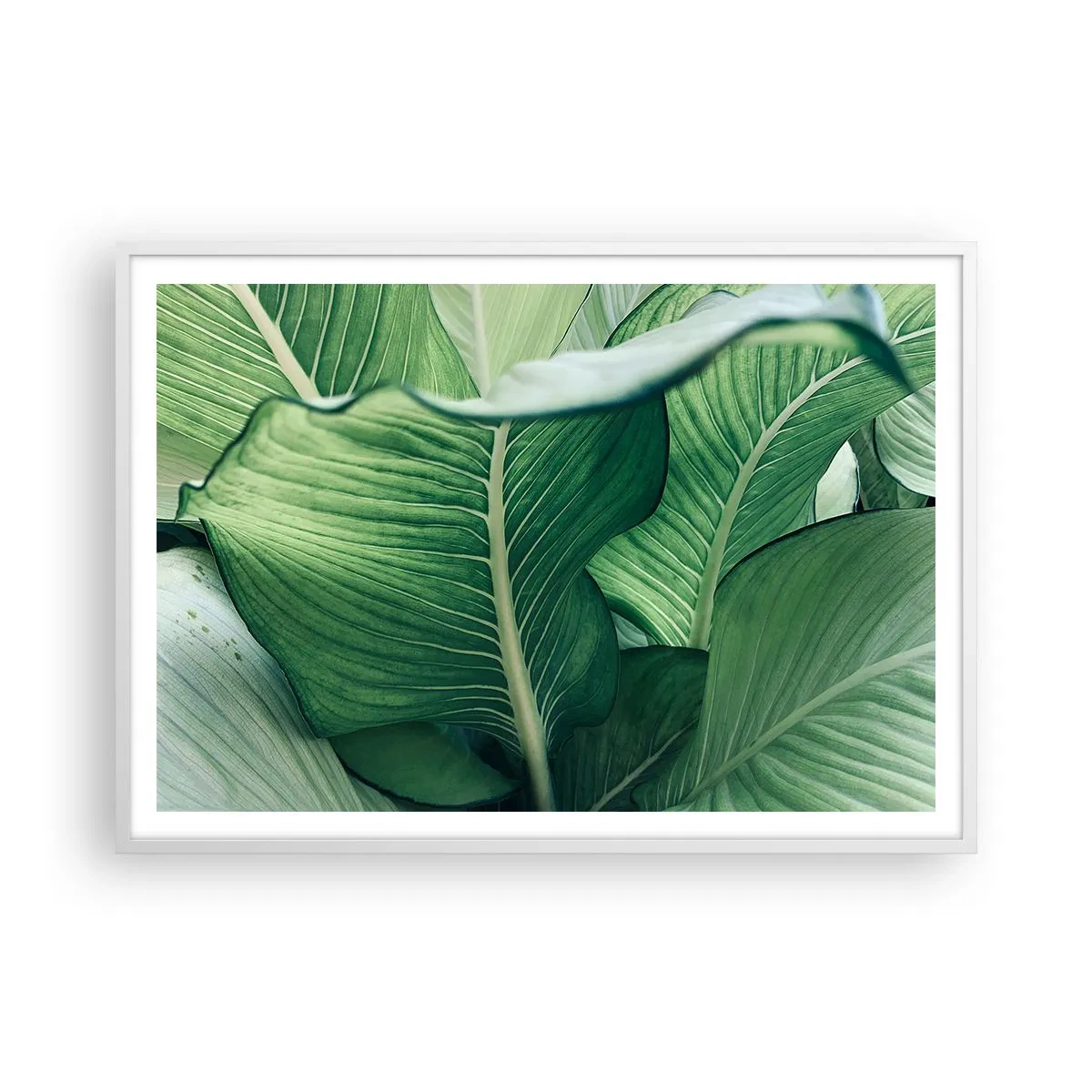 Plakát v bílém rámu - Intenzivně zelený život - 100x70 cm