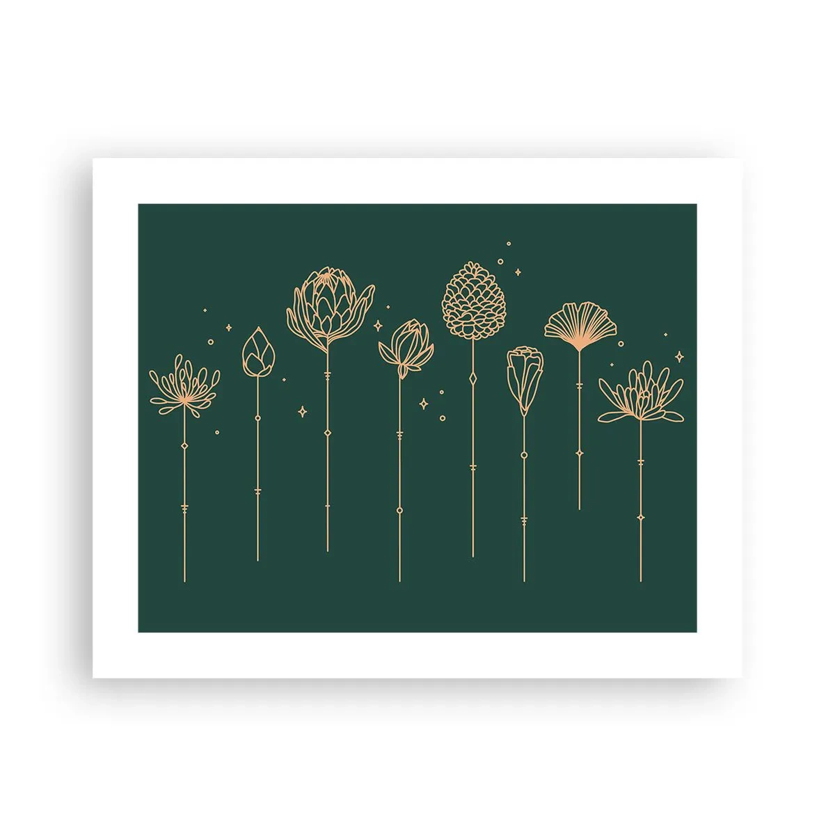 Plakát - Bylinky - 50x40 cm