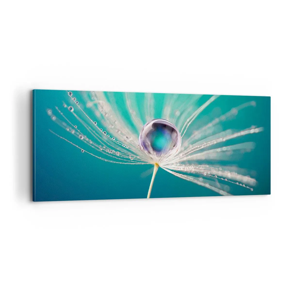 Obraz na plátně - Mystický okamžik - 100x40 cm