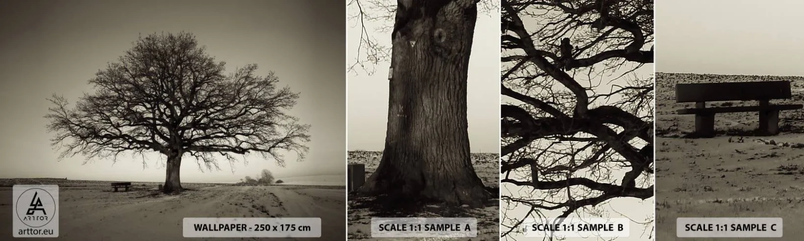 Vzor Fototapety Samolepicí Deluxe Sticker - Odtud až na věčnost - Krajina, Strom, Příroda - 100x30 cm