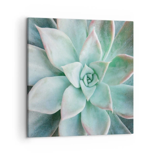 Obraz na plátně - Srdce pouště - 50x50 cm