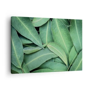 Obraz na plátně - Detail zelených listů vytvářejících přirozený vzor - 70x50cm - Šťavnaté a svěží - Moderní nástěnná dekorace do obývacího pokoje a ložnice ARTTOR