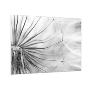 Obraz na skle - Makrofotografie pampelišky v odstínech černé a bílé - 70x50cm - Pampelišky - Moderní nástěnná dekorace do obývacího pokoje a ložnice ARTTOR
