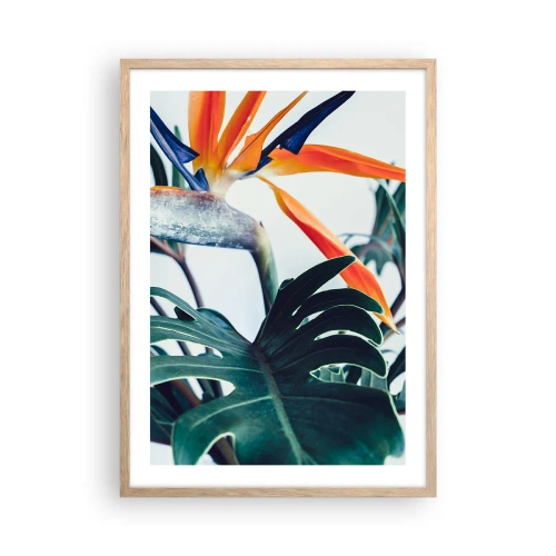 Plakát v rámu světlý dub - Ptákeř - 50x70 cm